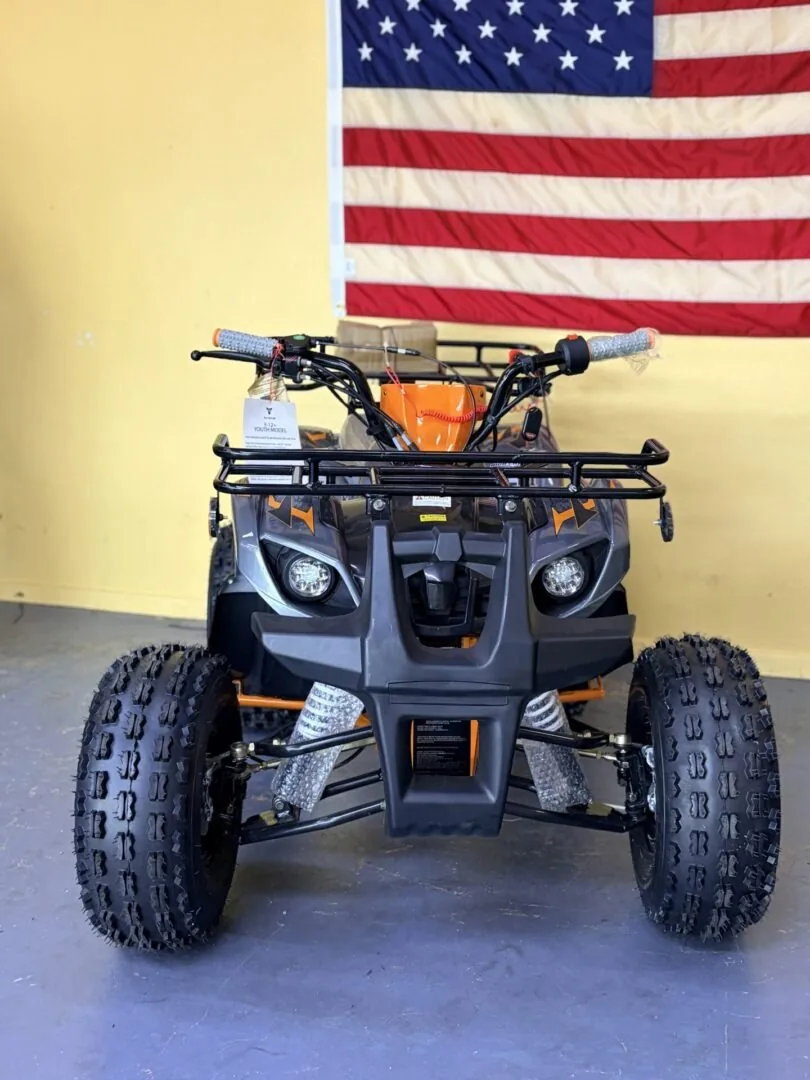 Taomotor T-Force Platinum (In Store)
