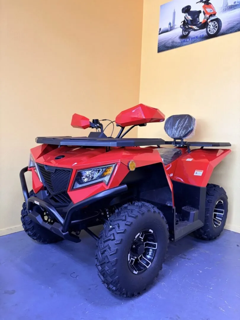 Vitacci CR 250 EFI (In Store)