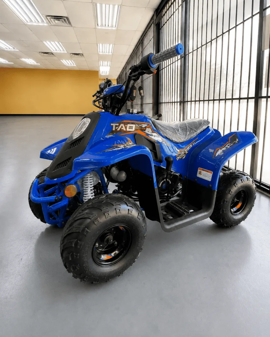 Tao Motor Rock 110s ATV (In Store)