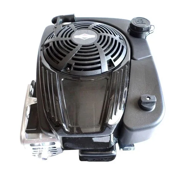 Briggs & Stratton 121S02-0130-F2 Vertical Engine