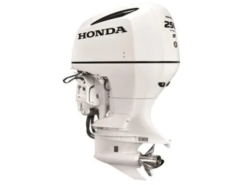 2019 HONDA 250 HP BF250DUCRA WT OUTBOARD MOTOR