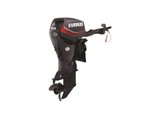 2019 EVINRUDE 40 HP E40DGTL OUTBOARD MOTOR