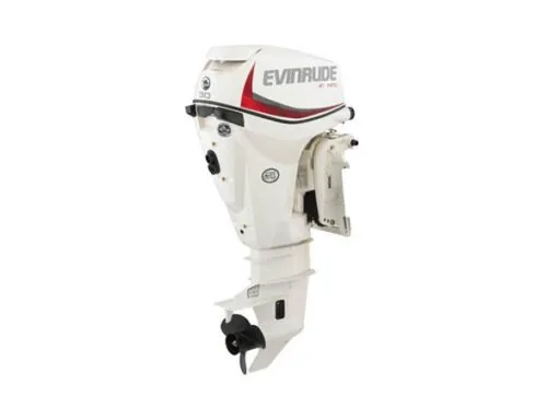 2019 EVINRUDE 30 HP E30DPSL OUTBOARD MOTOR