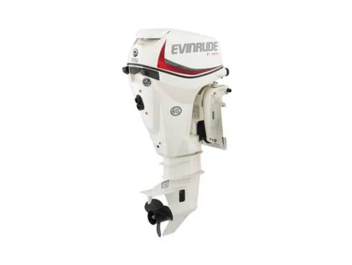 2019 EVINRUDE 25 HP E25DPSL OUTBOARD MOTOR