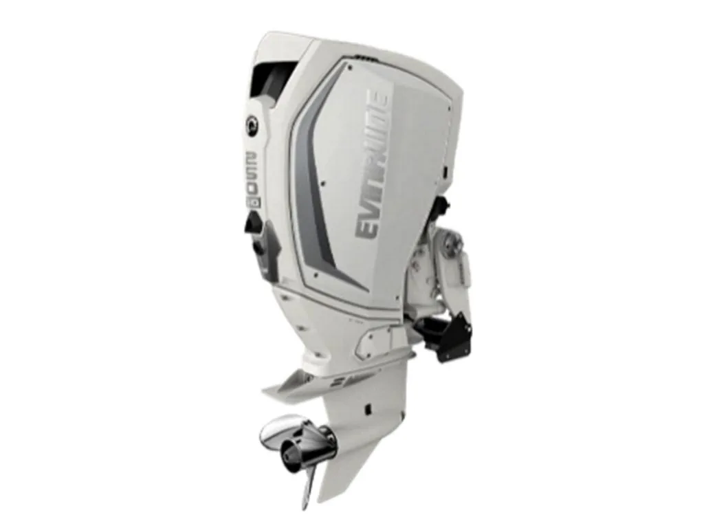 Evinrude H250WXCA 250 HO Outboard Motor