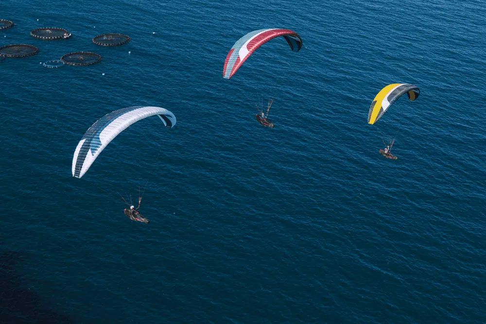 SKYWALK CHILI5 Paraglider