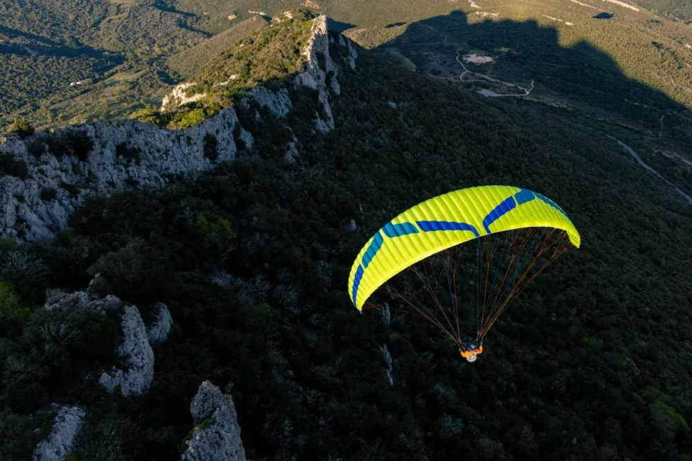 OZONE BUZZ Z7