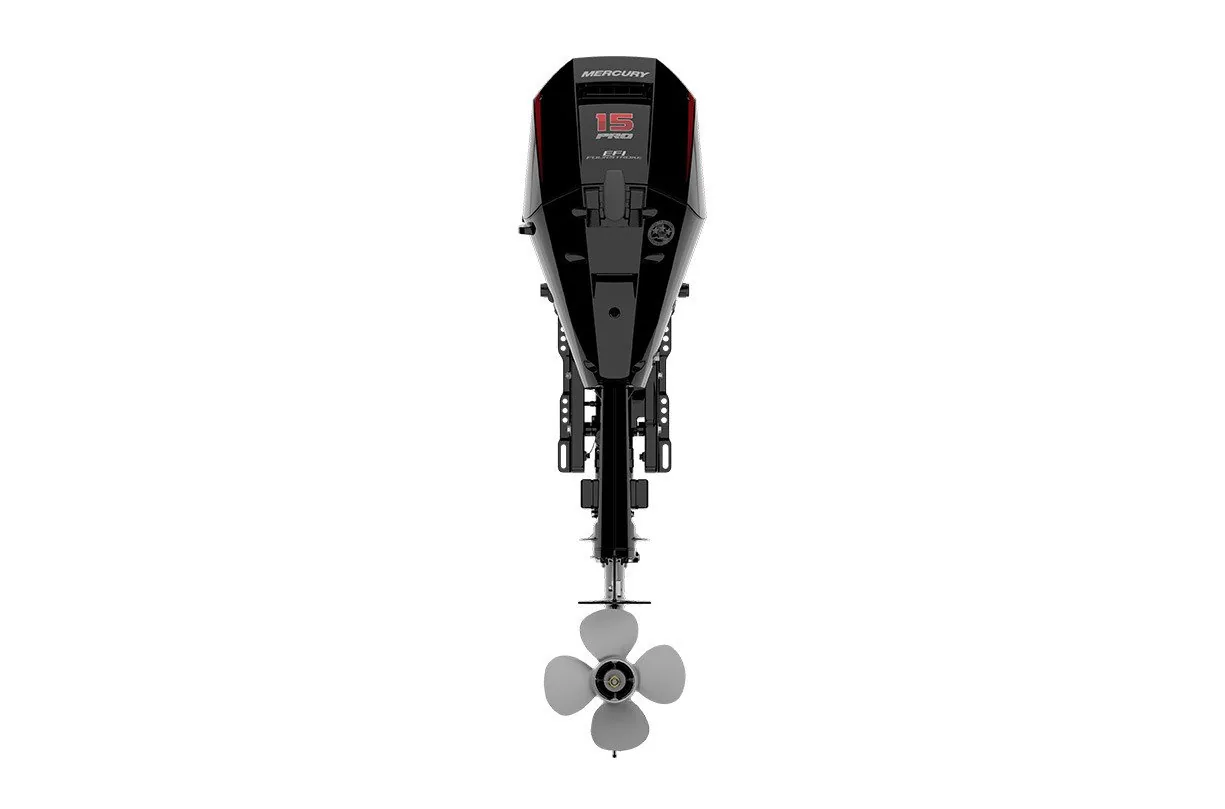 Mercury 15ELPT 3