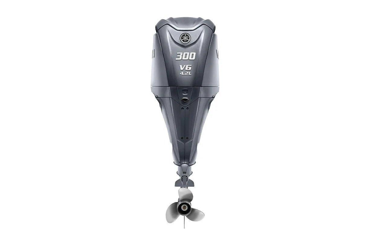 Yamaha F300ECB 2