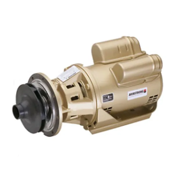 Armstrong 110108MF-717 Raypak 3 Boiler Header Pump