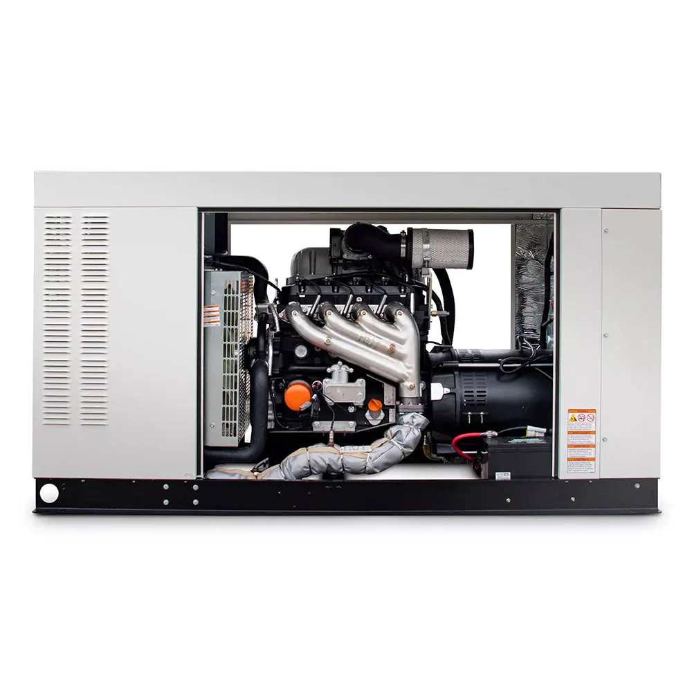 Generac RG08045ANAX2