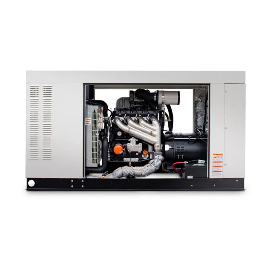 Generac RG04845GNAX4