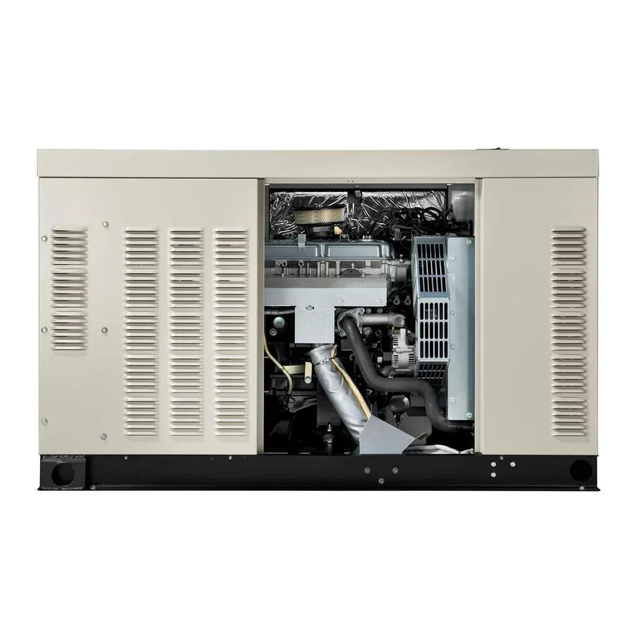 Generac RG02515ANAX3 1