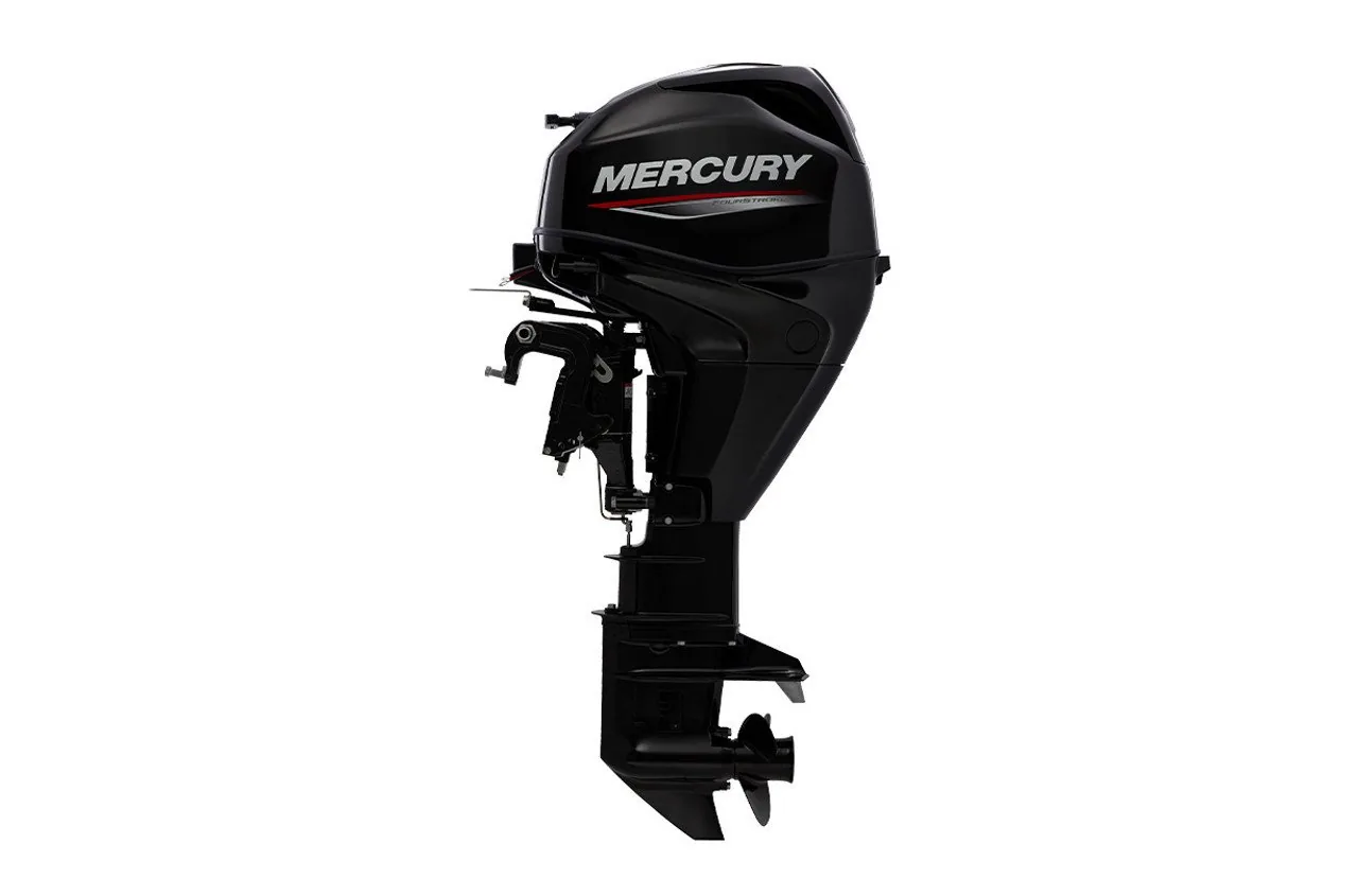 Mercury 25EPT 2