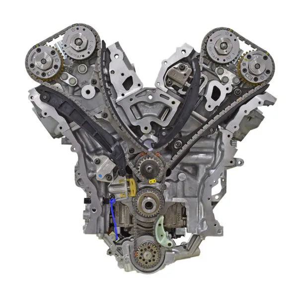 Choptank PDHH 1 600x600 1