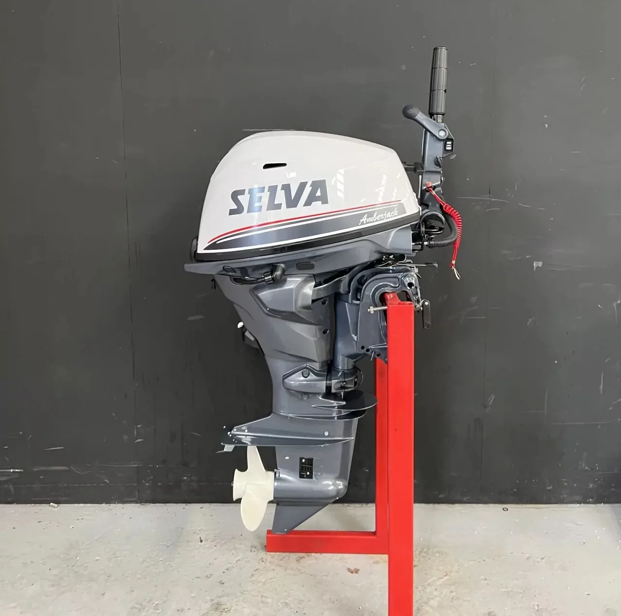 Selva/Yamaha 15 HP