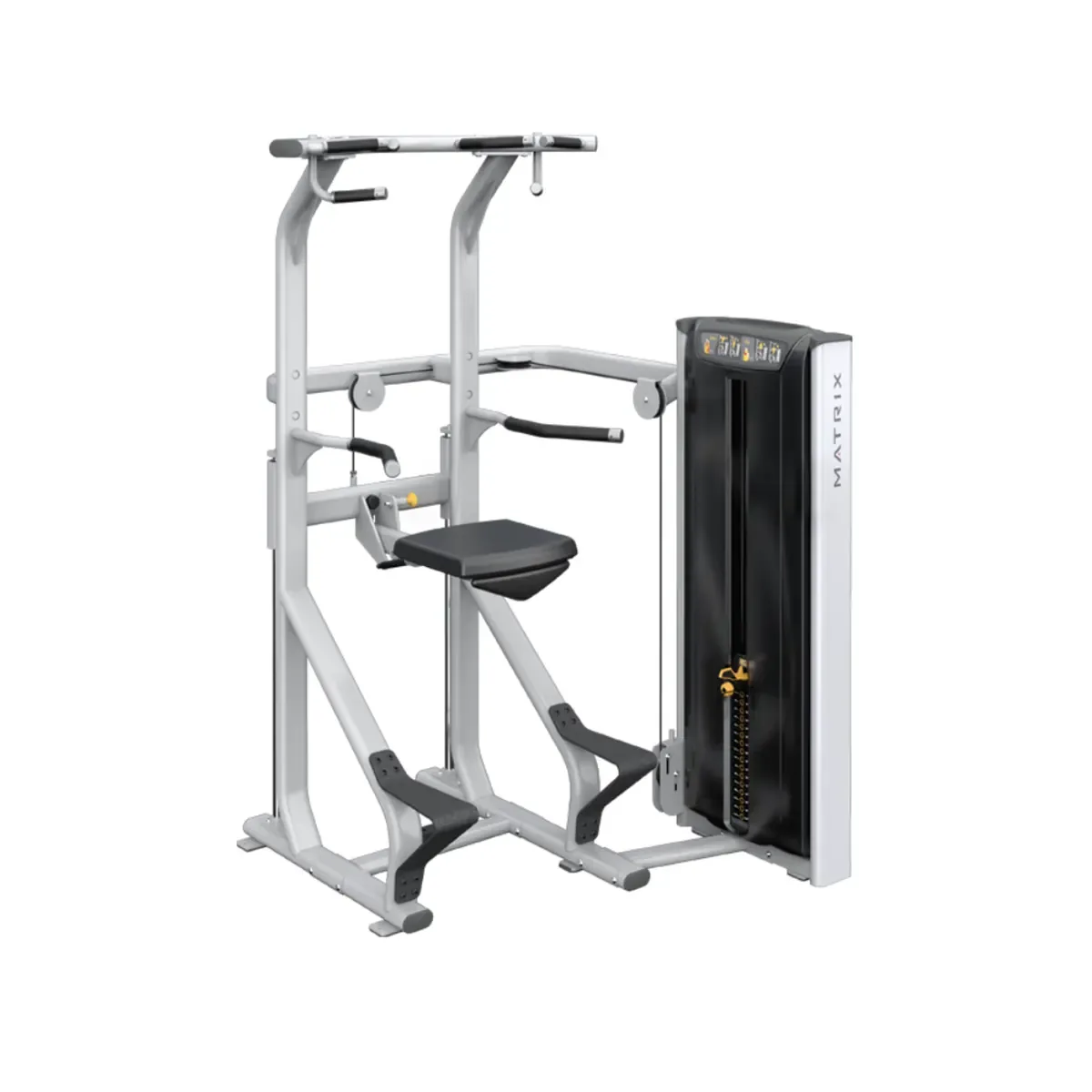 Matrix Versa Chin/Dip Assist commercial strength machine