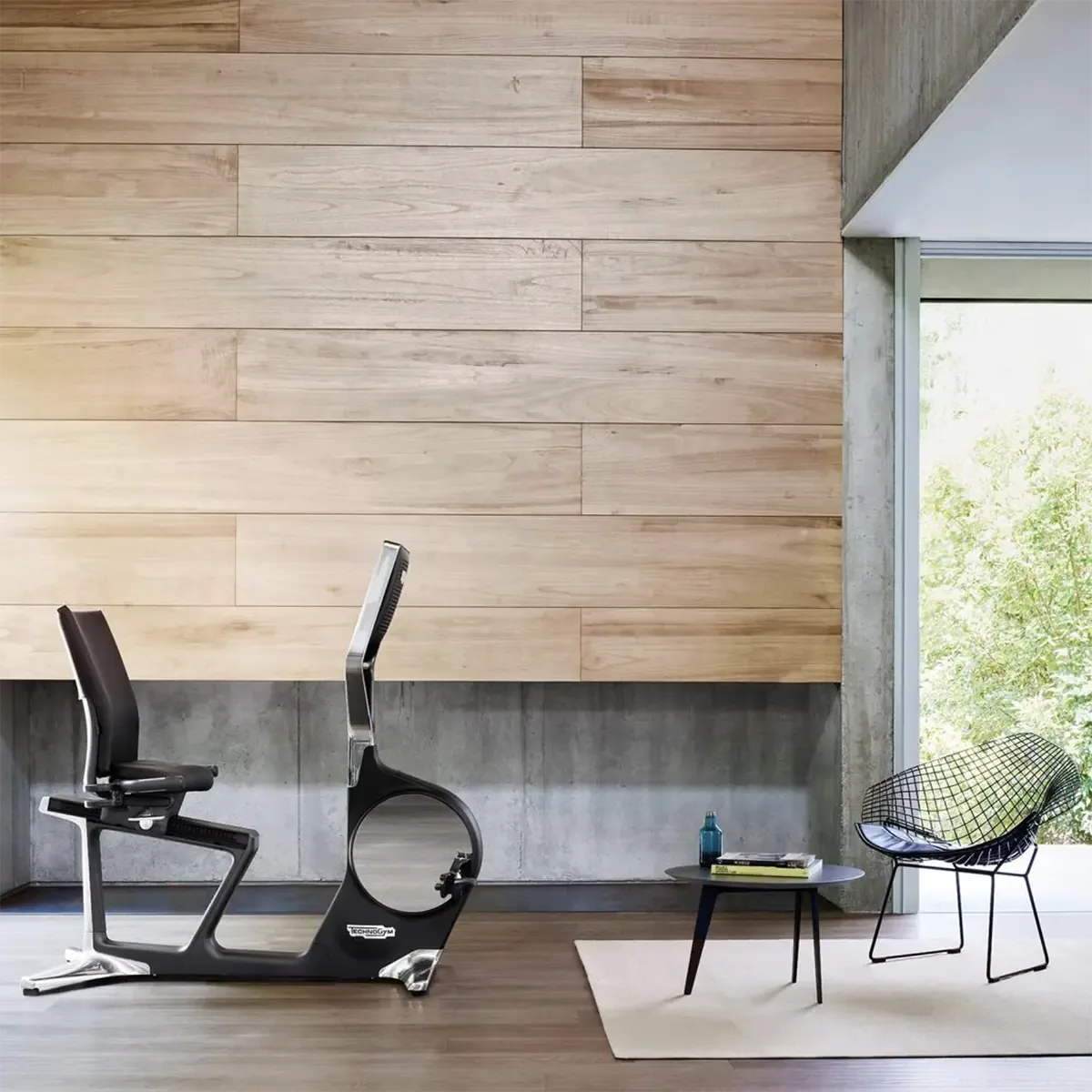 Technogym Recline Indoor cardio bike with integrated display and heart rate monitoring