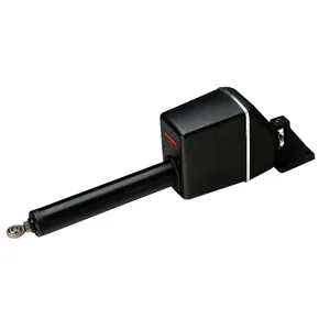 Raymarine Type 1 Linear Drive – 12V